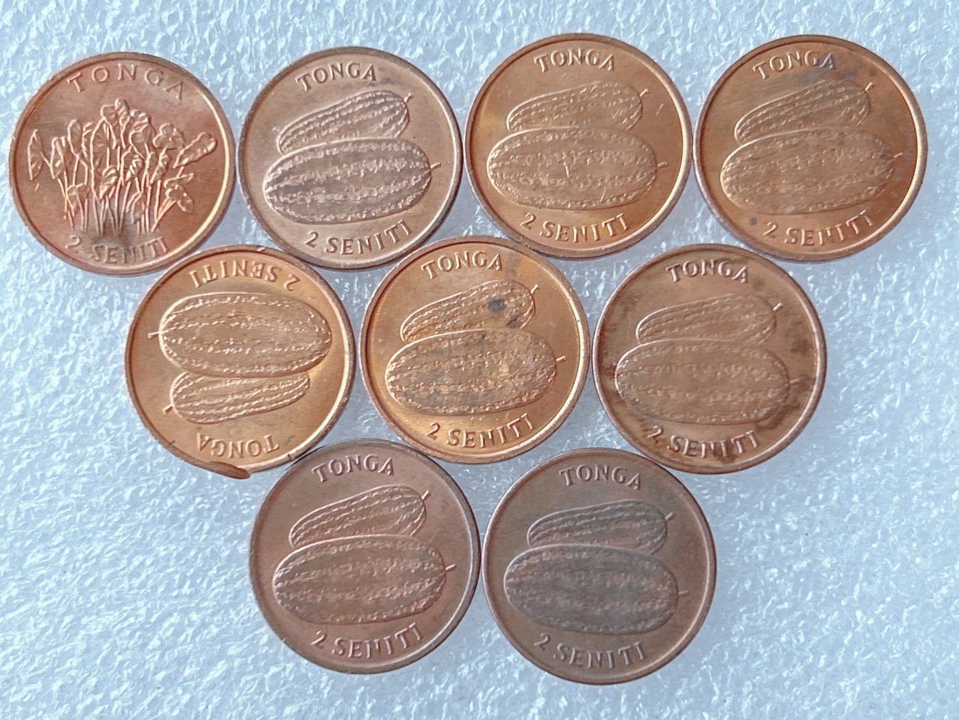 第一海外回流一元起拍收藏 散币专场 第65期 汤加2分铜币 10枚