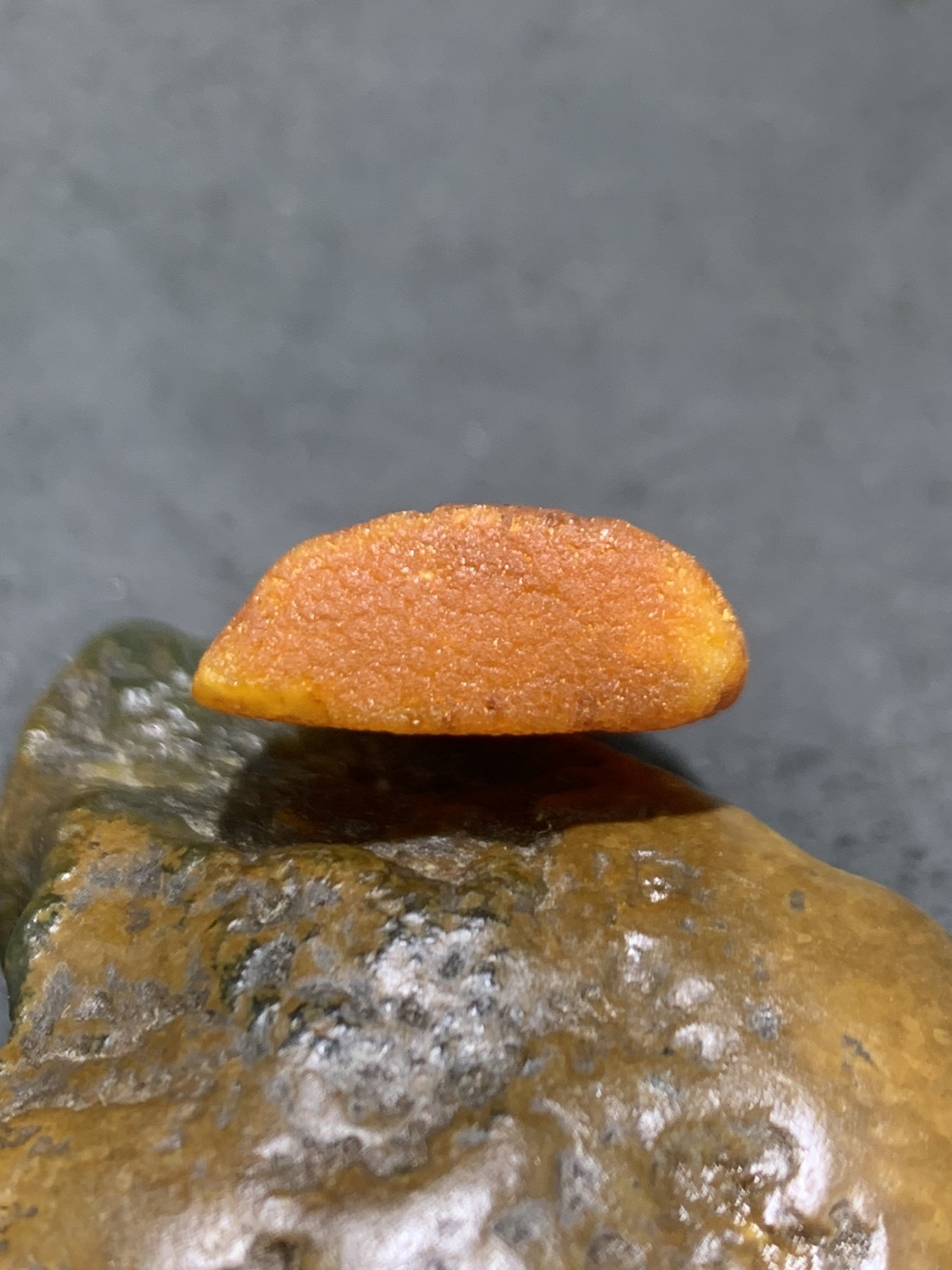 精品蜜蜡随形原石吊坠一块！