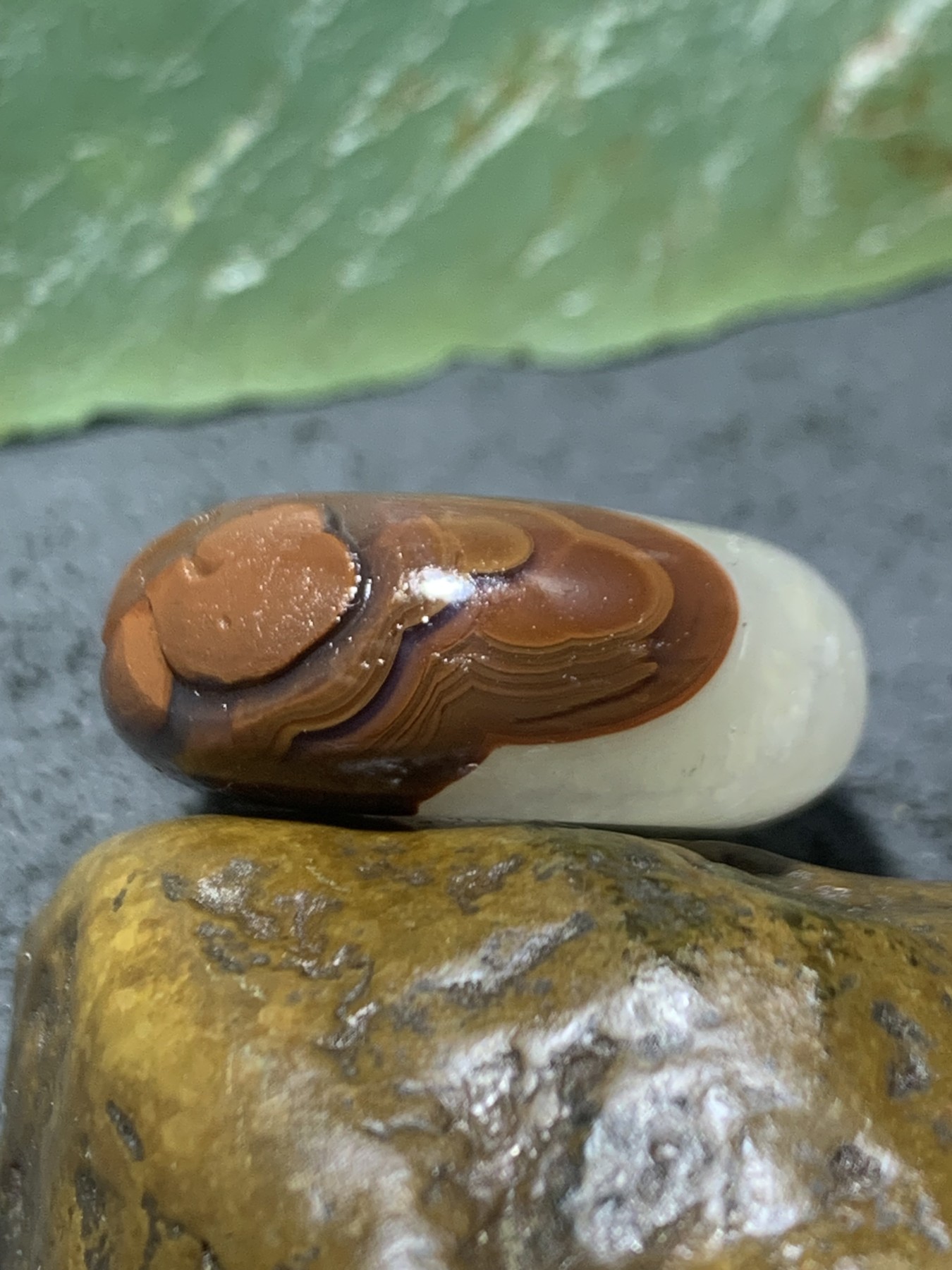 精美亚光高玉化冰飘战国红玛瑙手工俏色巧雕灵猴平安扣一个，