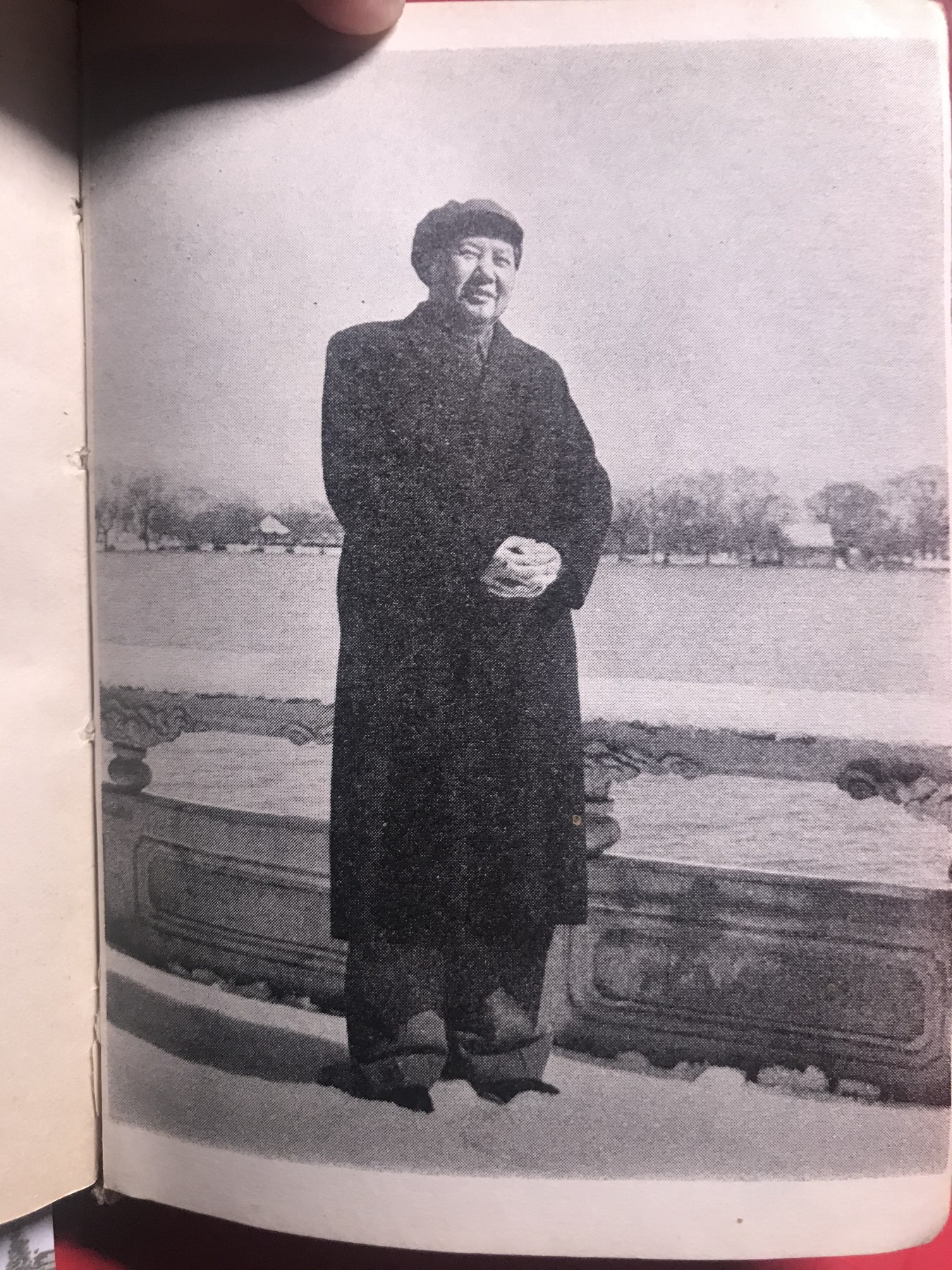 皖江书章，新年拍场，多101 毛主席诗词，两张101。一张没有涂