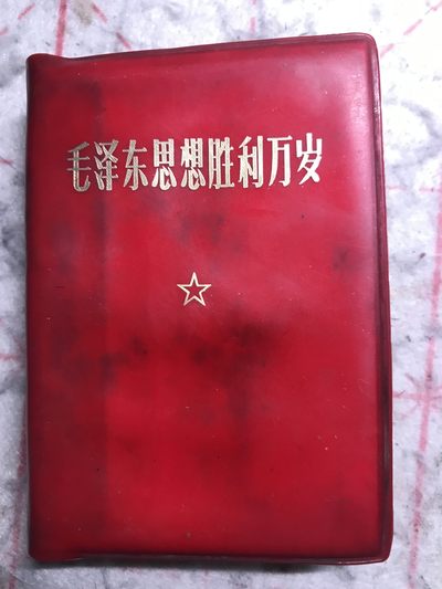 皖江书章，新年拍场，多101 - 思想胜利万岁，两张题词，有副主席指示。
