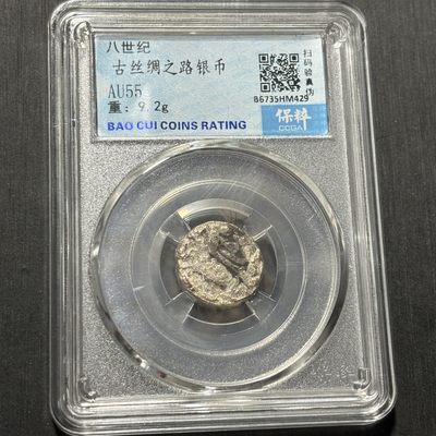 银币评级币专场&全场保真包代 - 古丝绸之路银币一图一物、保真包代
