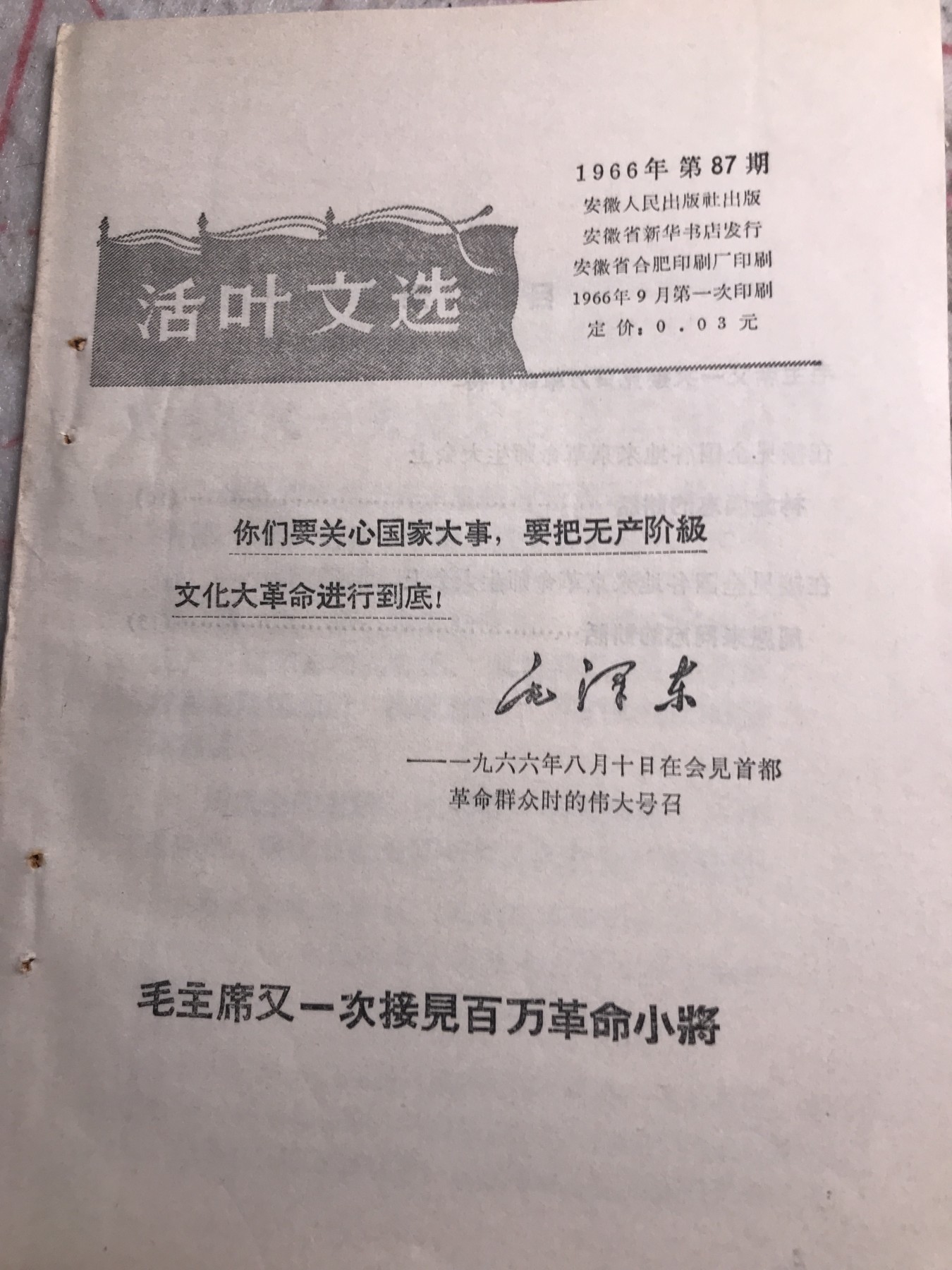 皖江书章，新年拍场，多101 接见，101讲话。