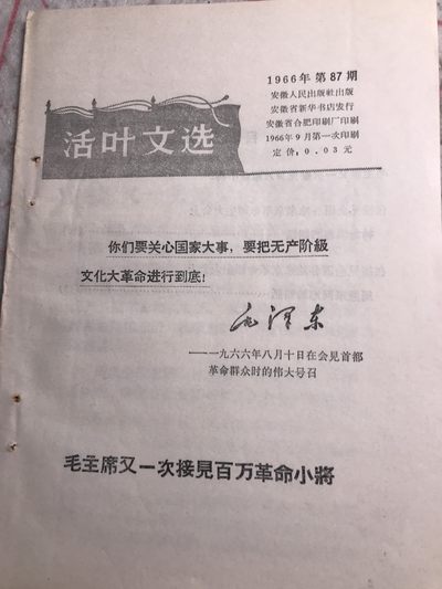 皖江书章，新年拍场，多101 - 接见，101讲话。