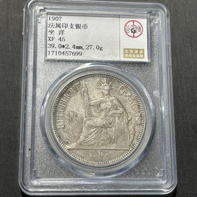 银币评级币专场&全场保真包代 - 热门坐洋壹圆，法属印支贸易银币一图一物、保真包代