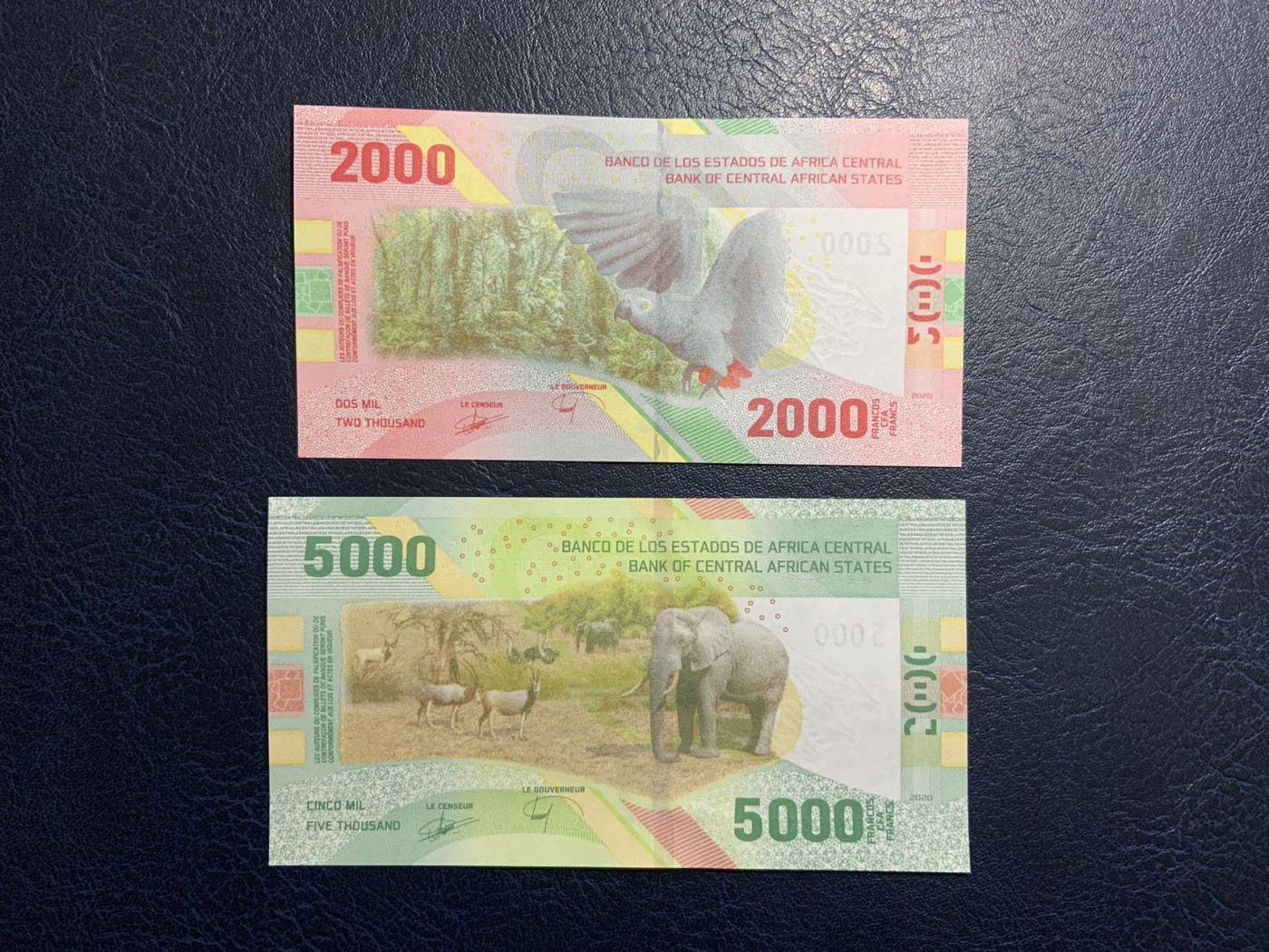 🦩收藏联盟Quantum Auction 第324期拍卖  中非共同体2020年2000和5000法郎 品相全新UNC 号码无4