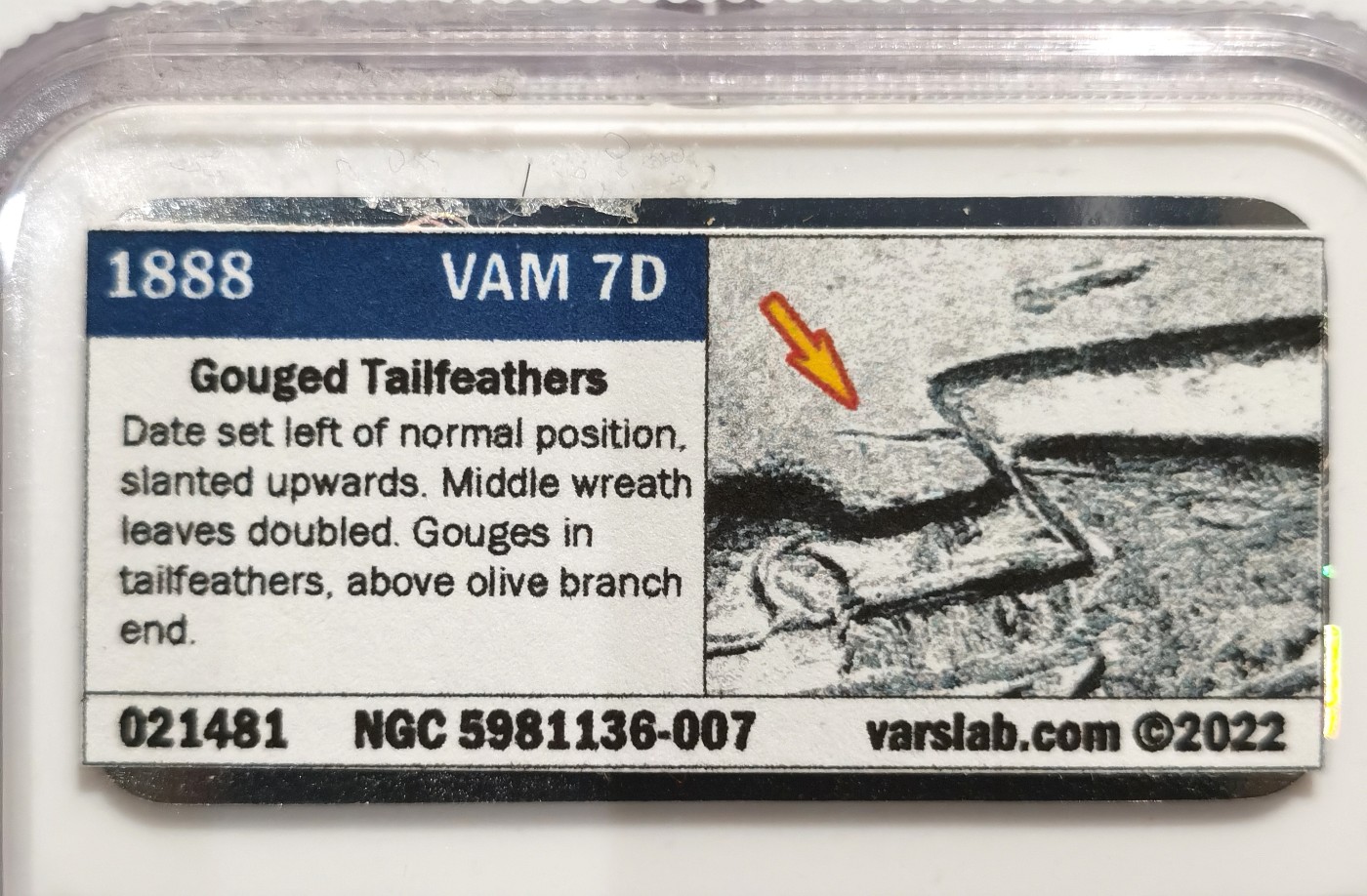 博洋堂世界钱币拍卖第064期（全场包邮） 1888年美国摩根银币小版本再评标签NGC-MS62，原汁原味灰五彩老包浆，包浆醇厚，打制精美。币面清爽干净又漂亮，状态极佳。低评，状态和品质不输现在的63分。好年份1888吉祥年份-吉祥寓意要发发发，市场上比较稀少的年份以及少见的小版本再评标签认证