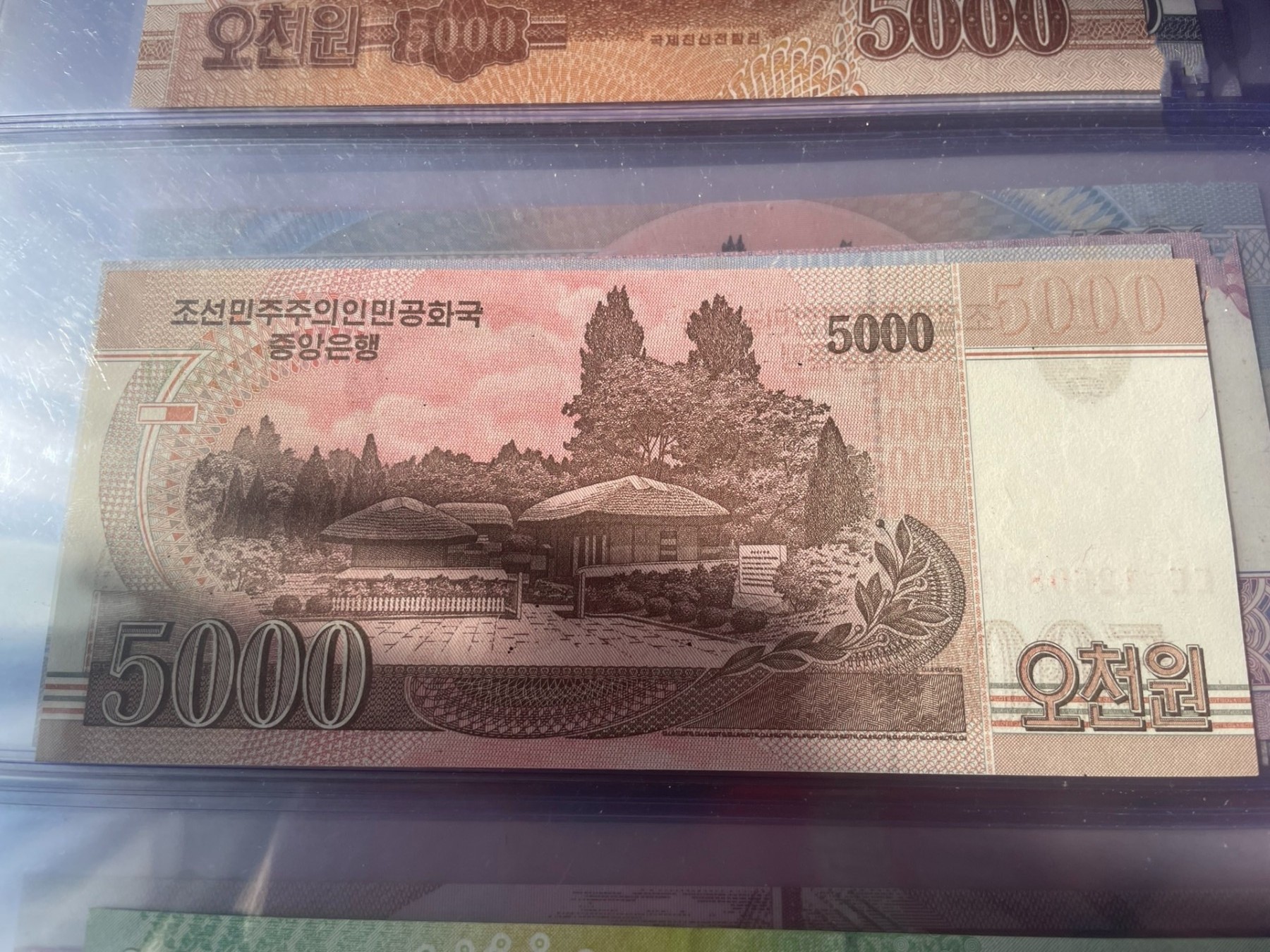 朝鲜纸币5000元原版无加盖（无字）全新品相