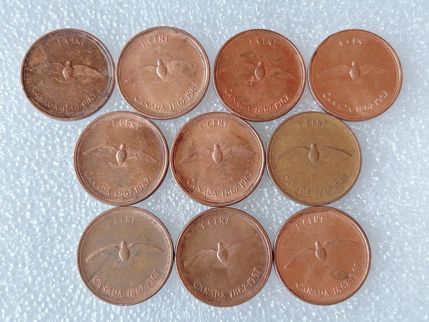 第一海外回流一元起拍收藏 散币专场 第66期 加拿大1分旅鸽 10枚