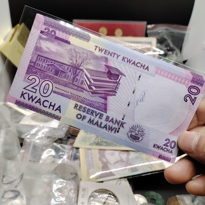 240228 全新外钞，冠号随机发货