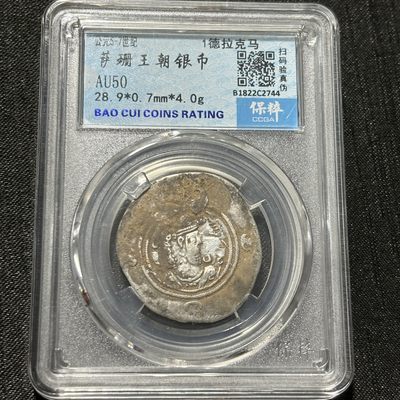 银币评级专场&全场保真包代 - 萨珊王朝银币一图一物、保真包代