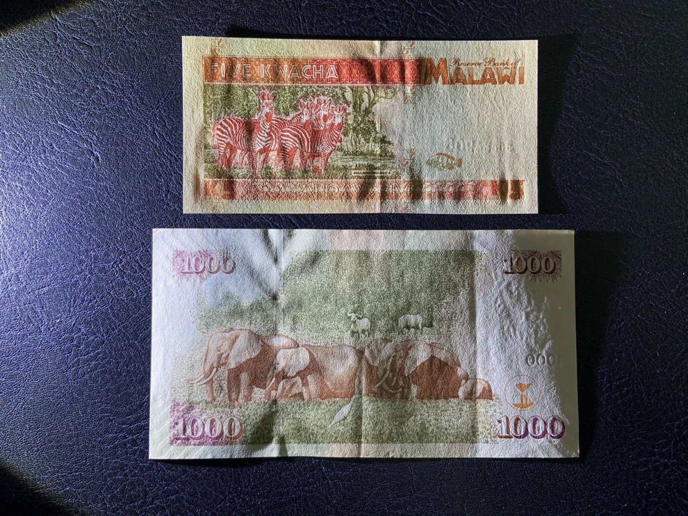 收藏联盟Quantum Auction 第325期拍卖  马拉维1995年5克瓦查和肯尼亚1997年1000先令(最大面值) 品相为全新UNC 和UNC- 双面凹印