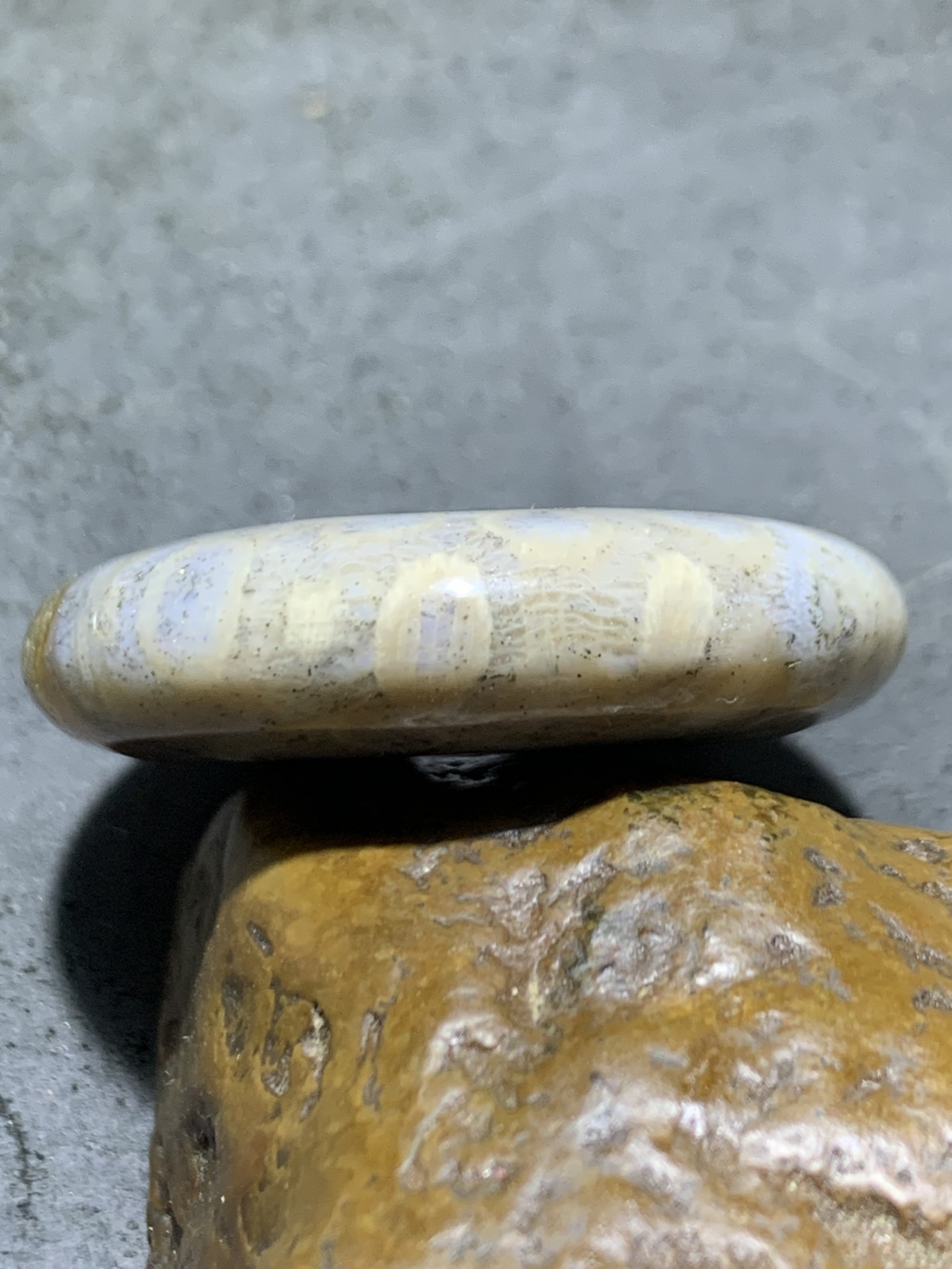 仅此一个，精美天然飘银砂高玉化满花珊瑚玉平安扣一个，