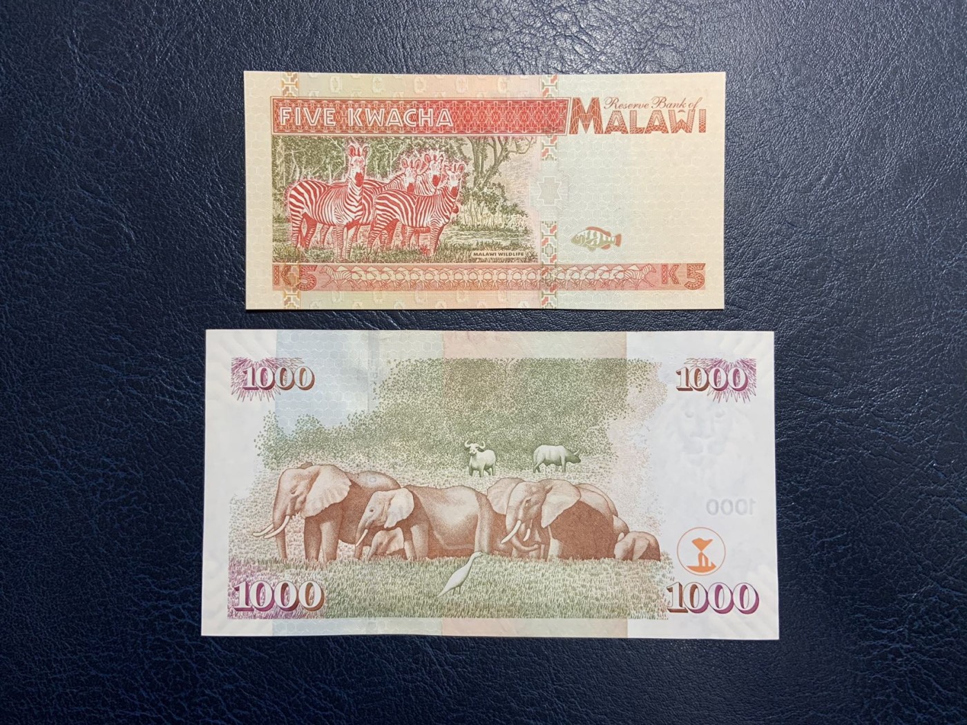 收藏联盟Quantum Auction 第325期拍卖  马拉维1995年5克瓦查和肯尼亚1997年1000先令(最大面值) 品相为全新UNC 和UNC- 双面凹印
