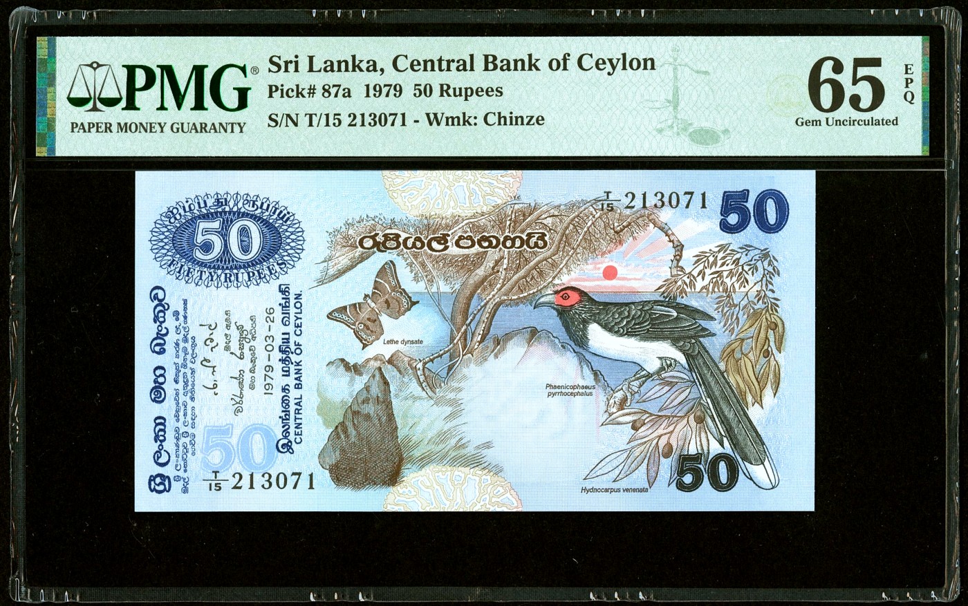 【Blue Auction】✨世界纸币精拍第433期【精】 斯里兰卡 1979年50卢比 PMG65EPQ 绝品 