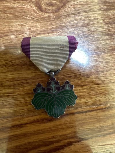 Skyreach的回血专场 - 西南青叶