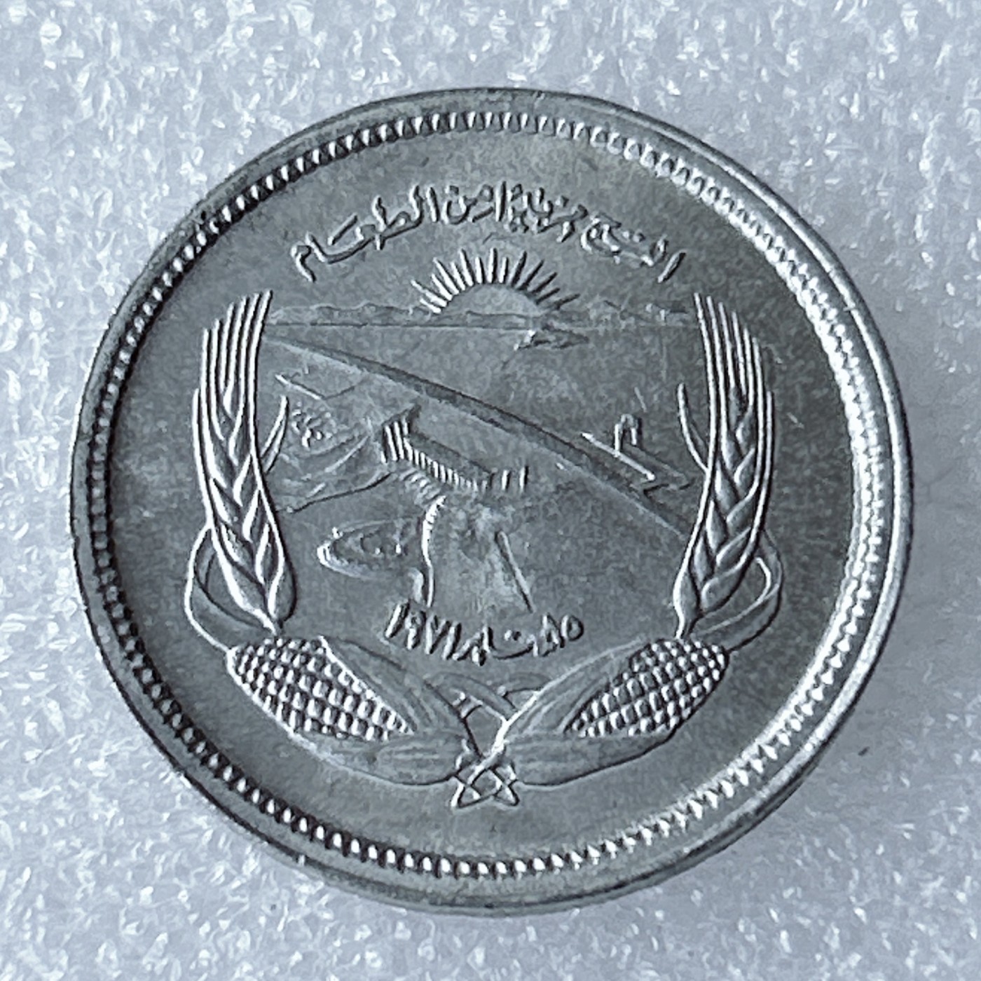 海外回流1元起拍小铺 各国钱币散币场 第8期 埃及5米利姆铝币 粮农组织币FAO