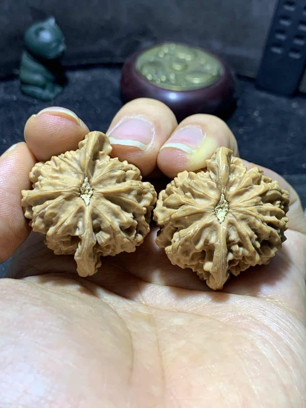 仅此一对，盘山公子帽文玩核桃麻核桃一对