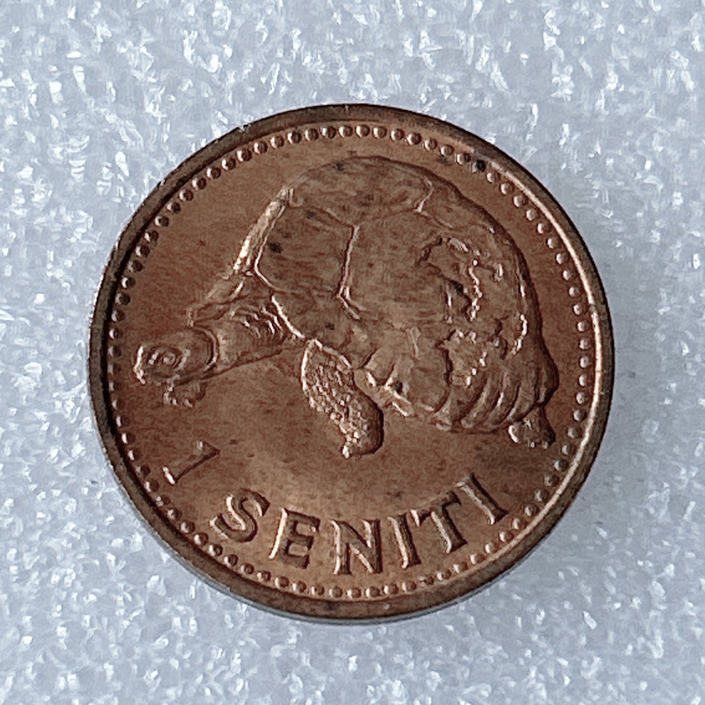 海外回流1元起拍小铺 各国钱币散币场 第8期 汤加1968年图普四世1分 山龟