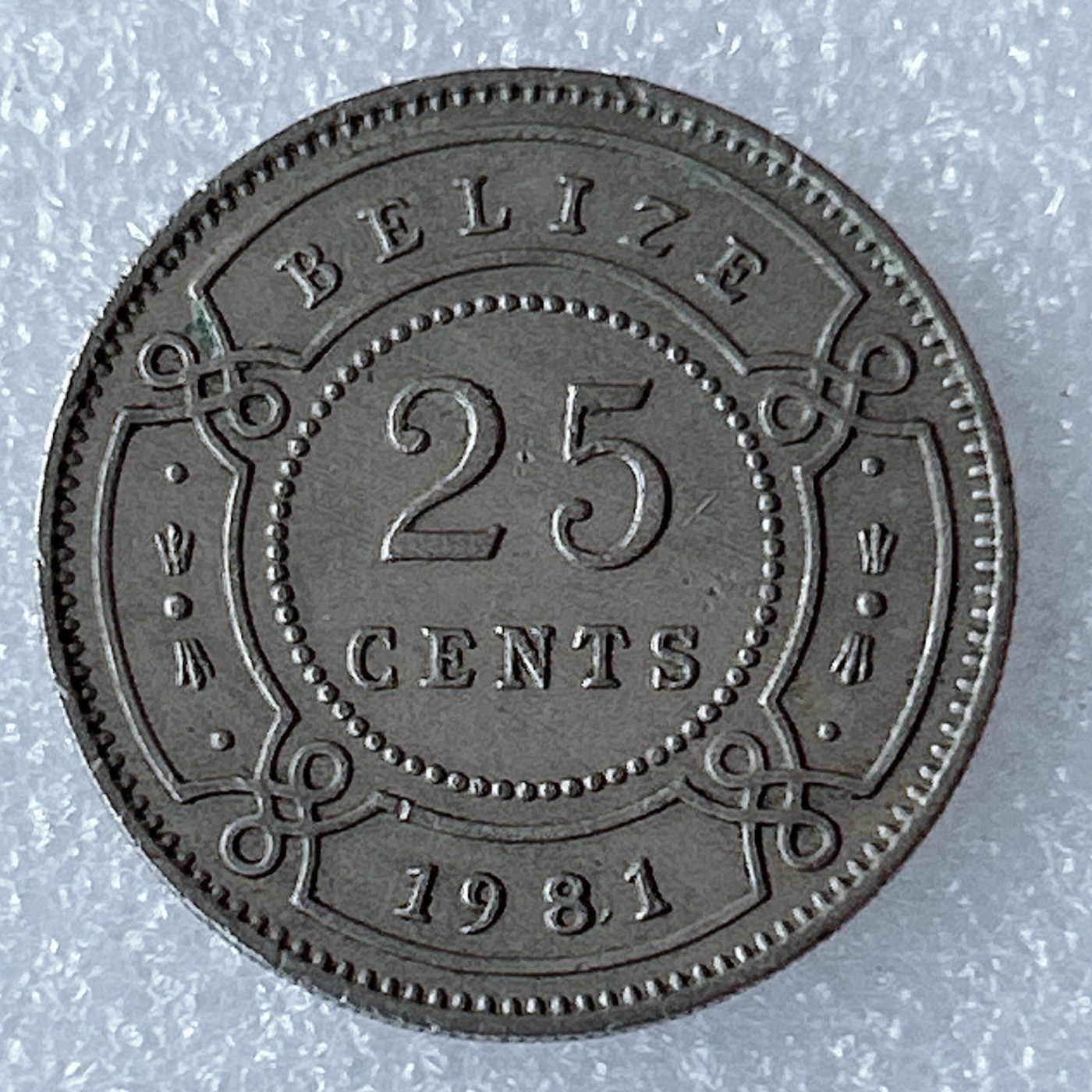 海外回流1元起拍小铺 各国钱币散币场 第8期 伯利兹1981年25分