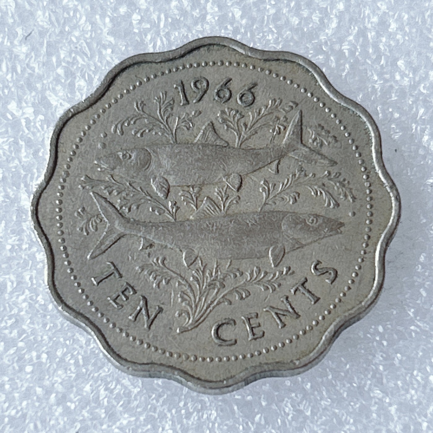 海外回流1元起拍小铺 各国钱币散币场 第8期 巴哈马1966年10分