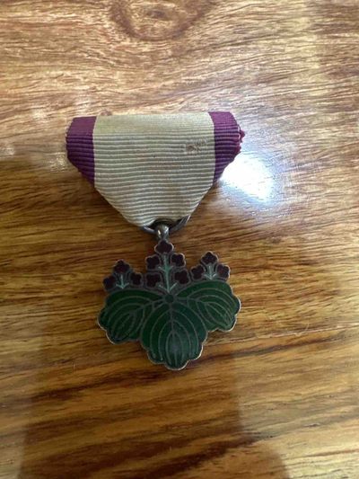 Skyreach的回血专场 - 西南青叶