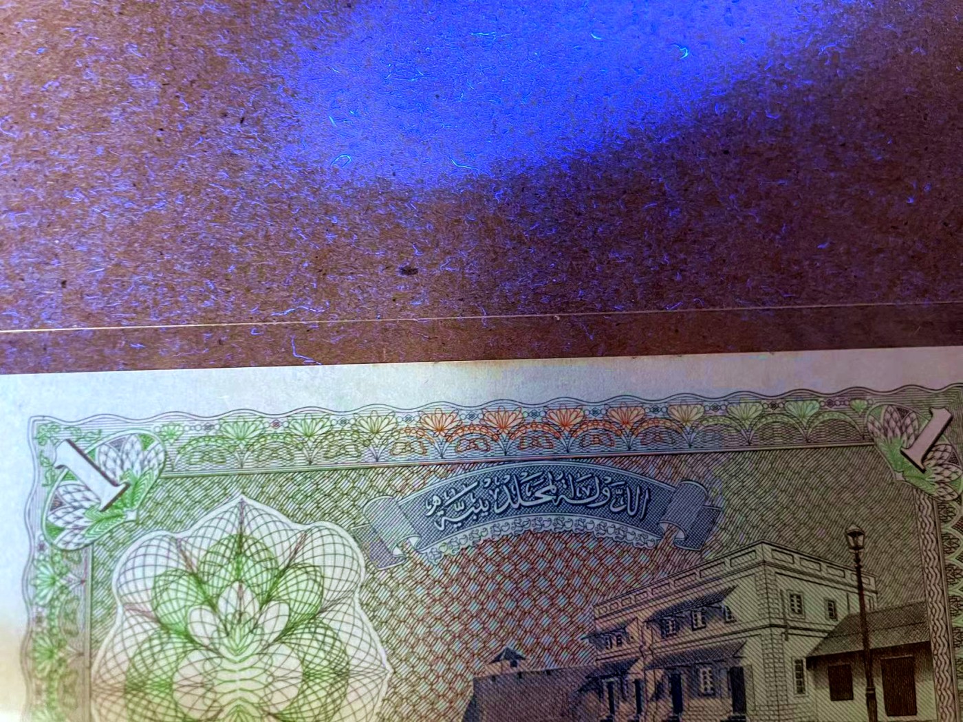 【Blue Auction】✨世界纸币精拍第435期【精】 【一组2张】马尔代夫1-2拉菲亚 UNC/UNC-