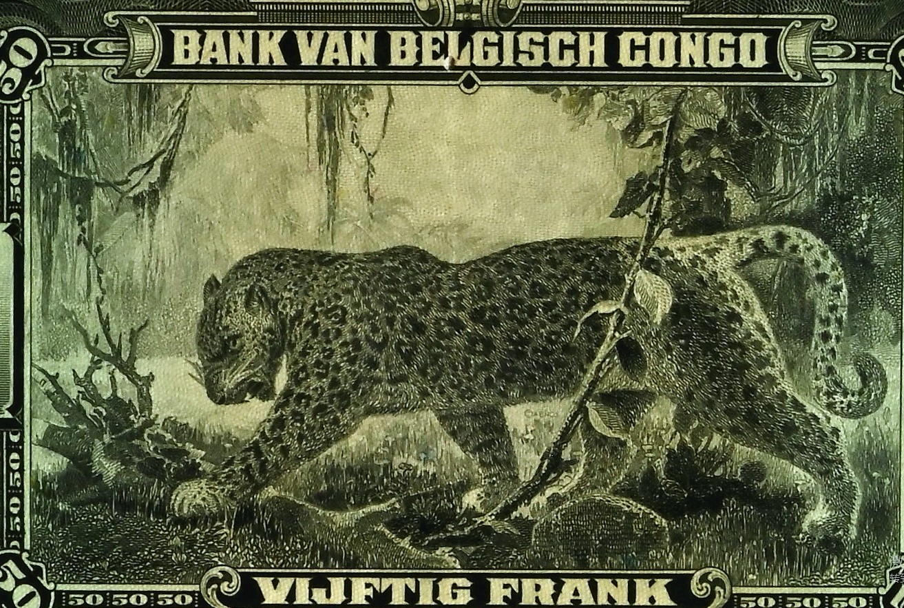 【Blue Auction】✨世界纸币精拍第435期【精】 【初版A冠 背面无加盖 实钞 大名誉品 仅6张更高分】比属刚果 1941-42年50法郎 ABNC出品 经典丛林豹 票面相对干净 a版画面完整没有年份红字加盖 PMG35 雕刻非常精美 值得收藏