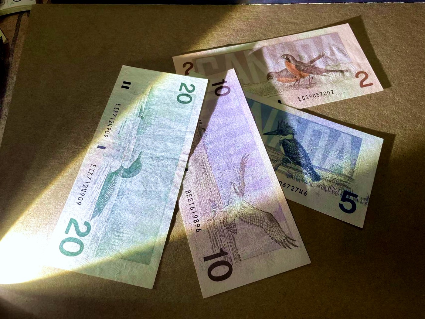 【Blue Auction】✨世界纸币精拍第435期【精】 【一组4张】加拿大 鸟版 2-20元 品相如图