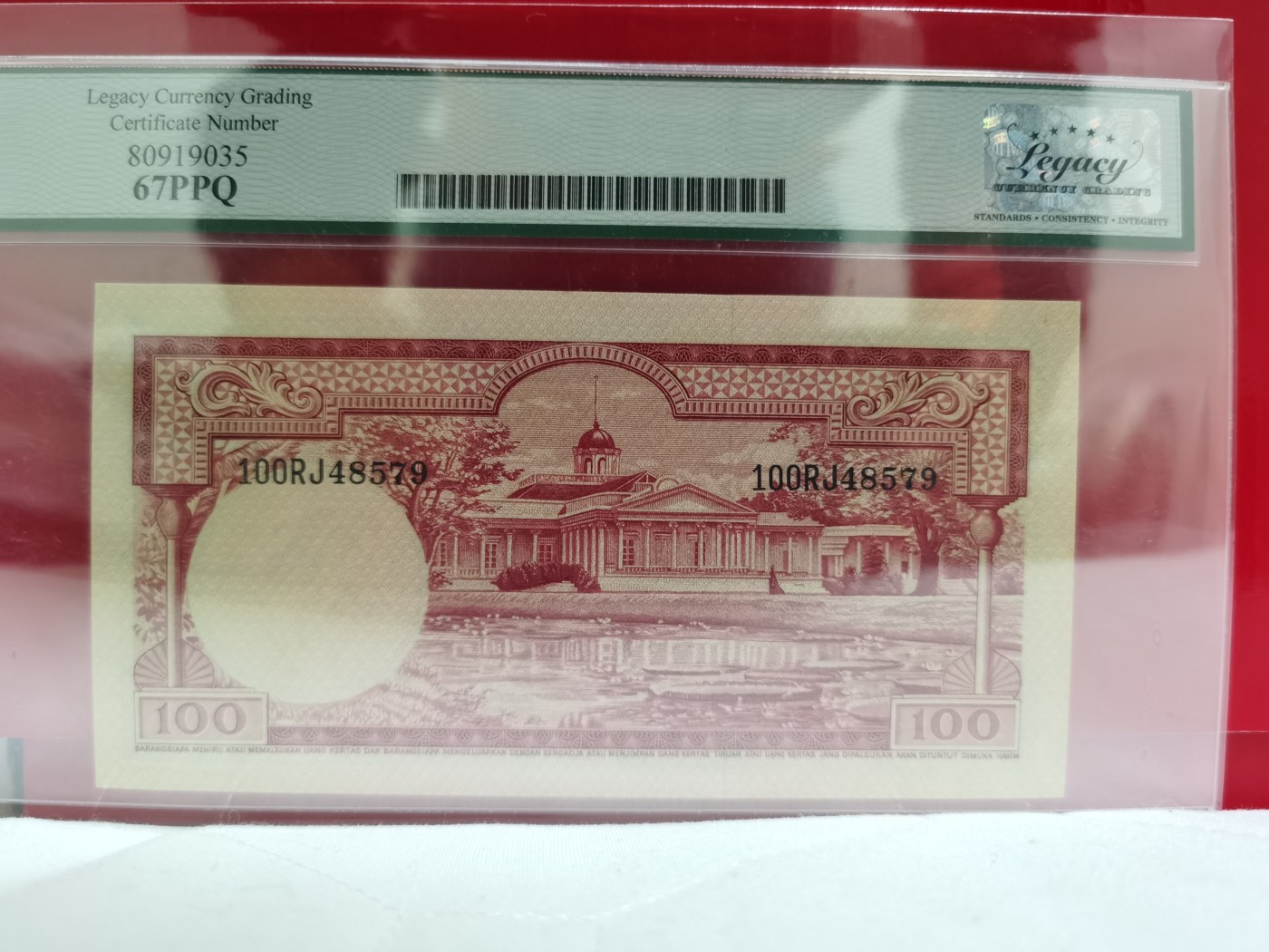 Immortal acution 2024拍场 印尼大松鼠，legacy 67高分