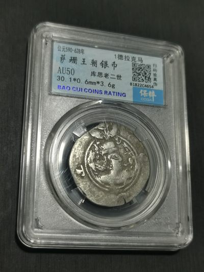 天下钱庄国内外钱币全场保真欢迎参拍 - 萨珊王朝银币