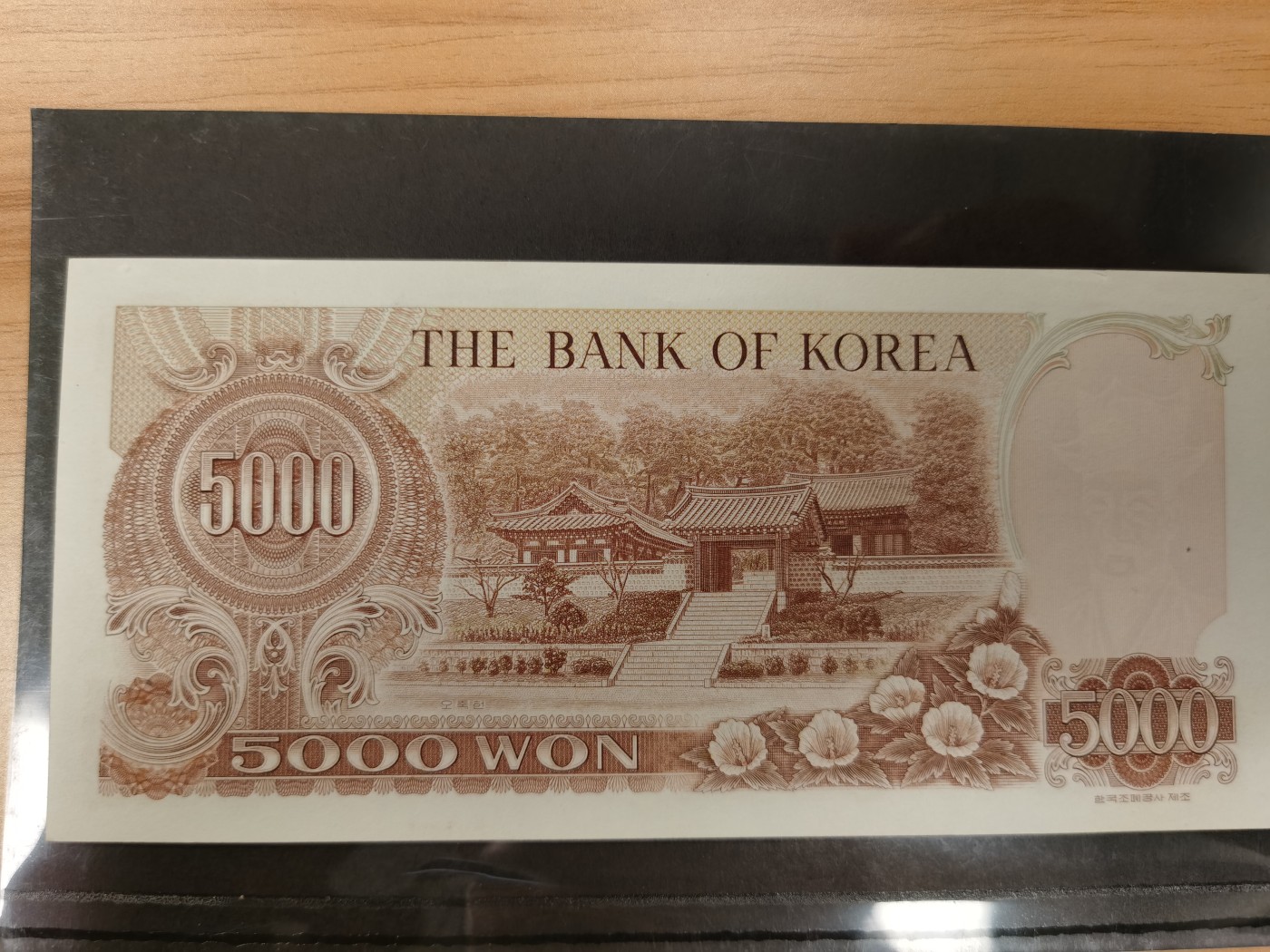 Immortal acution 2024拍场 韩国5000，111豹子，上边有小裂口，AU