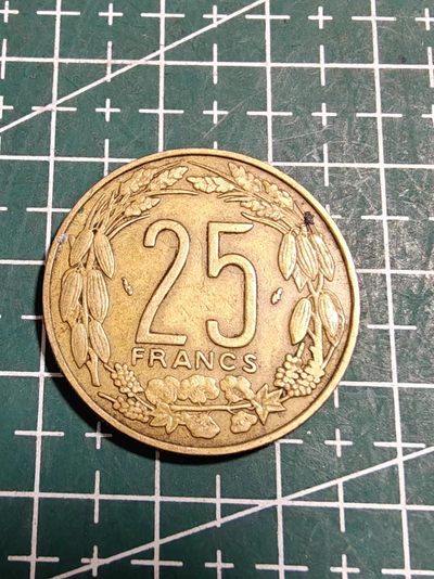 硬币 - 中非25法郎
