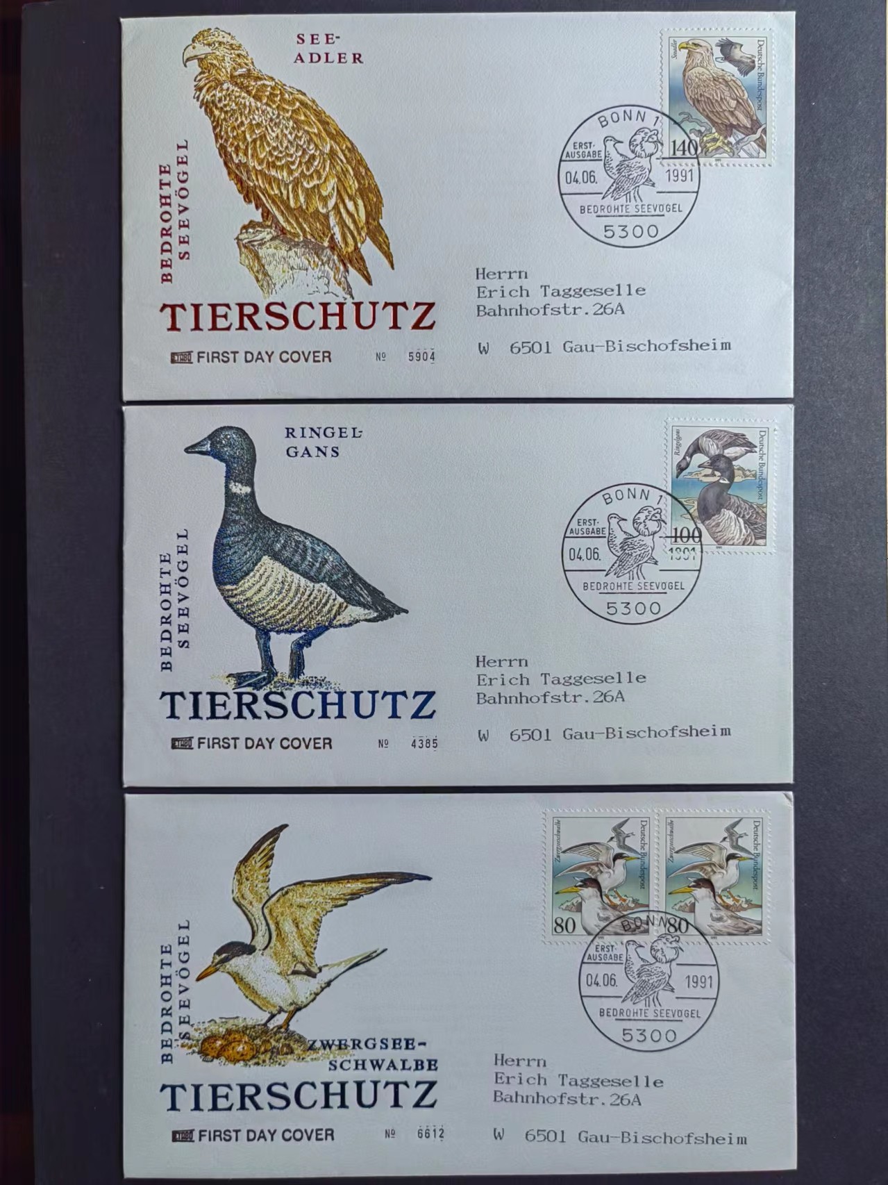 多国邮品✌（拍卖场）精品🔥专场 第④⑨场 鸟类实寄邮封