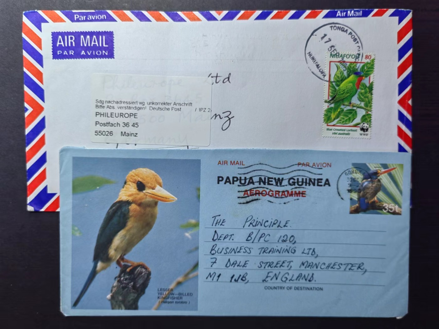 多国邮品✌（拍卖场）精品🔥专场 第④⑨场 鸟类实寄邮封+南非学校寄德国机构感谢信，感谢捐赠资金