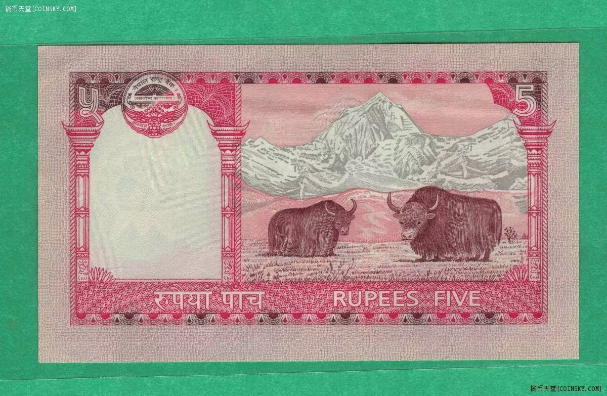 尼泊尔2008年(2009年)5卢比 签名如图 亚洲纸币 实物图 UNC