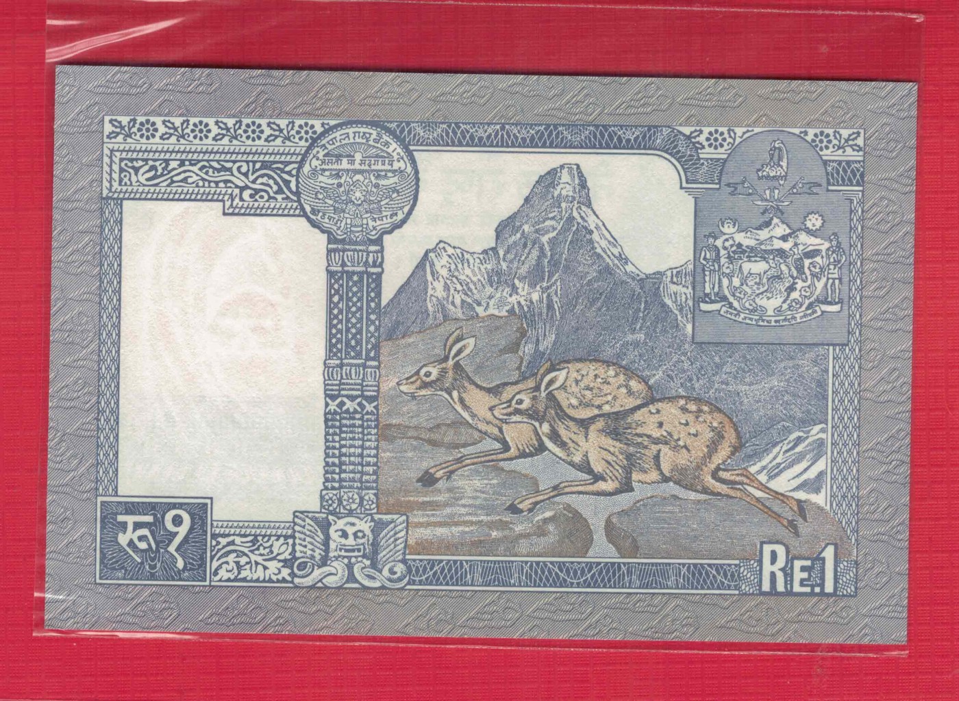 尼泊尔1991年1卢比 P-37 签名12 亚洲纸币 实物图 UNC