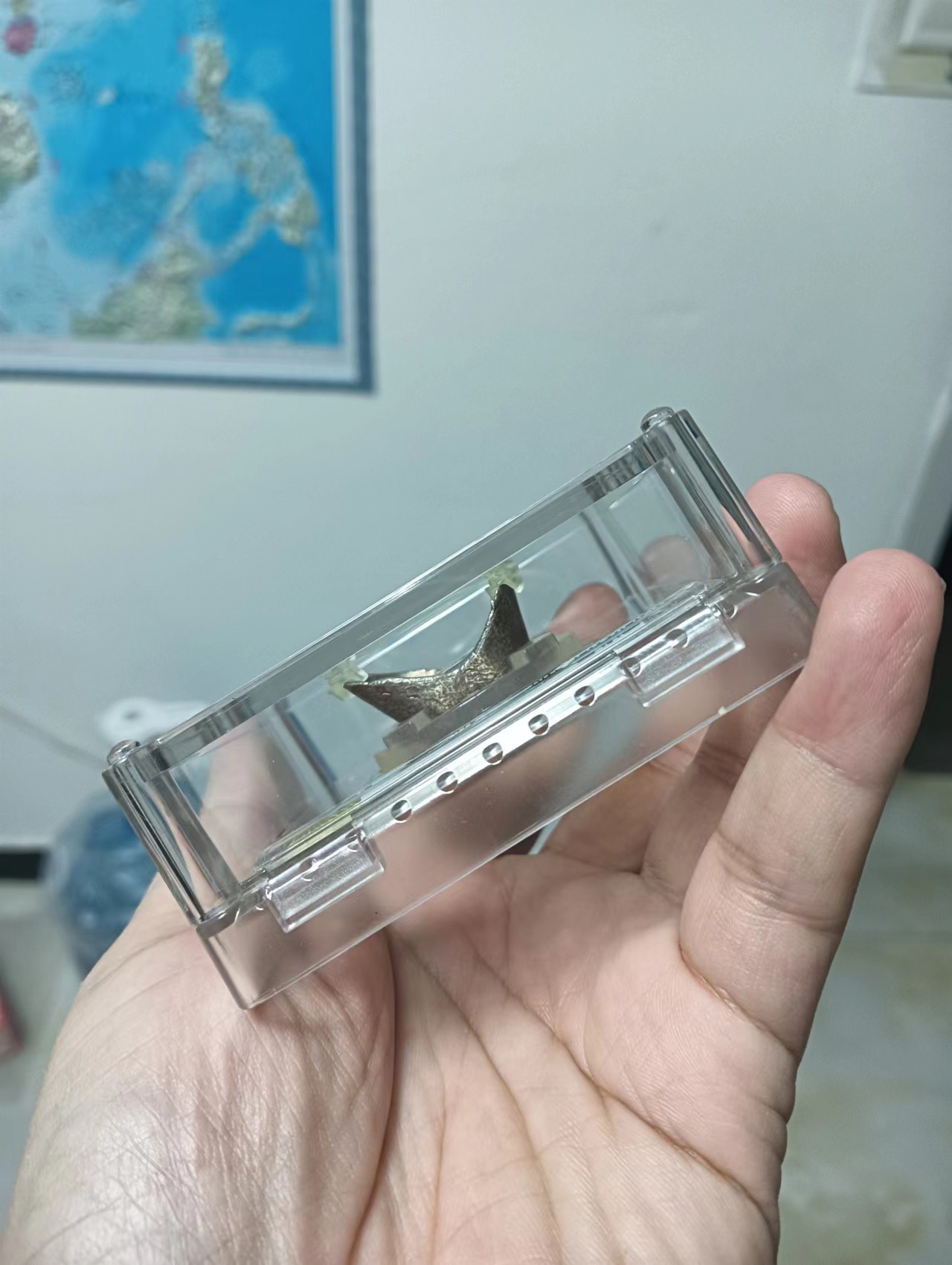 寿字吉语锭