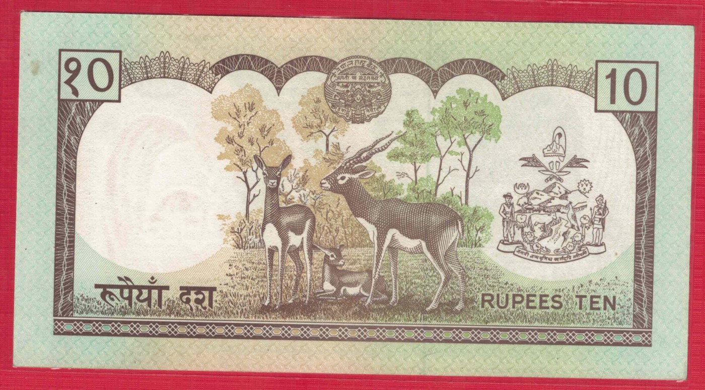 尼泊尔1985年至1987年10卢比 签名12 P-31a 号码长24mm 实物图 UNC