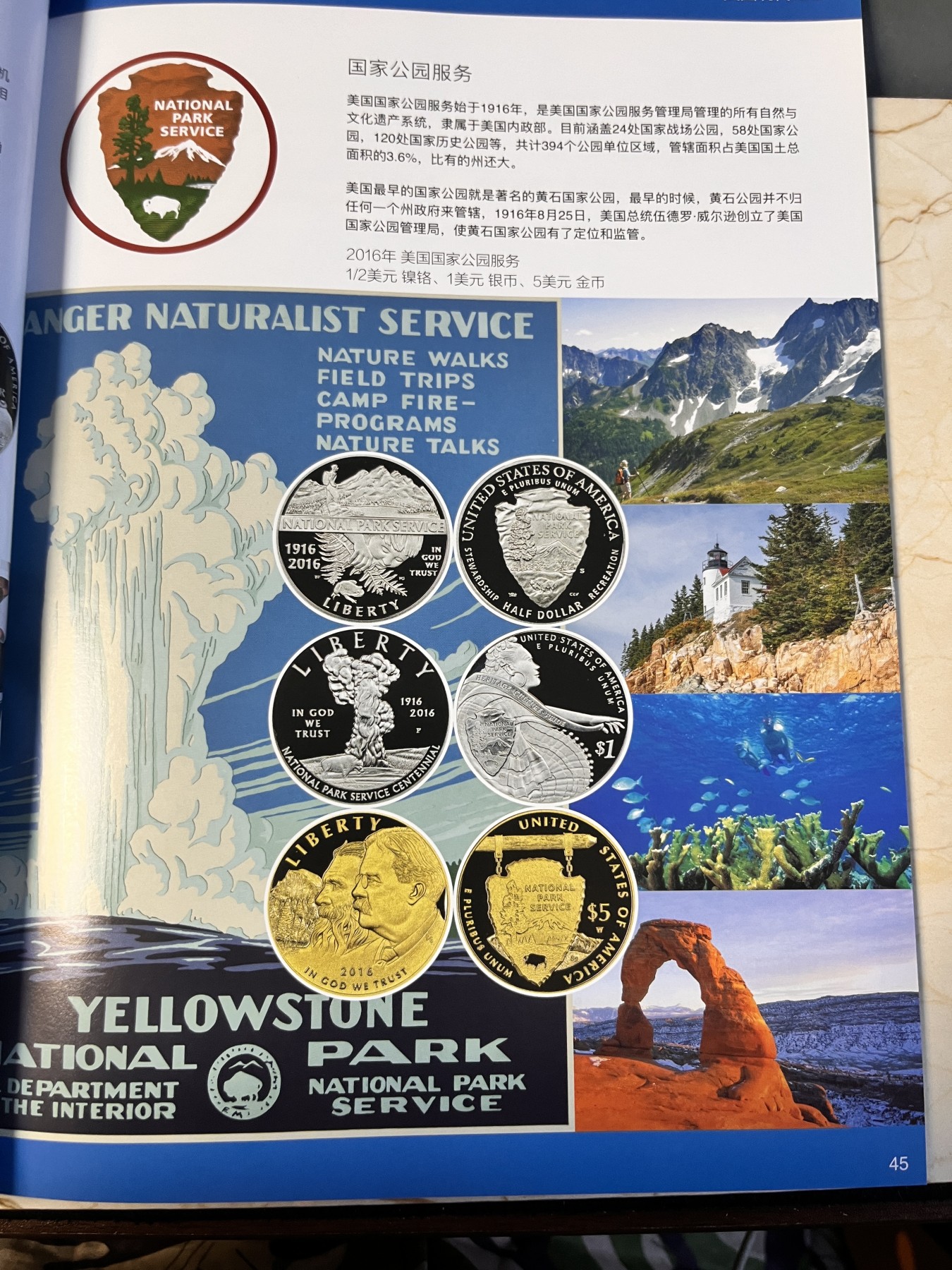 【海寕潮】拍卖第100期【年后第一场】