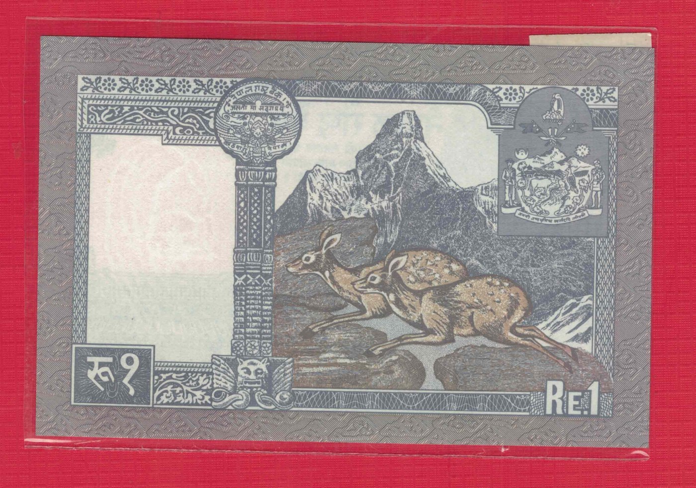 尼泊尔1991年1卢比 P-37 签名13 亚洲纸币 实物图 UNC