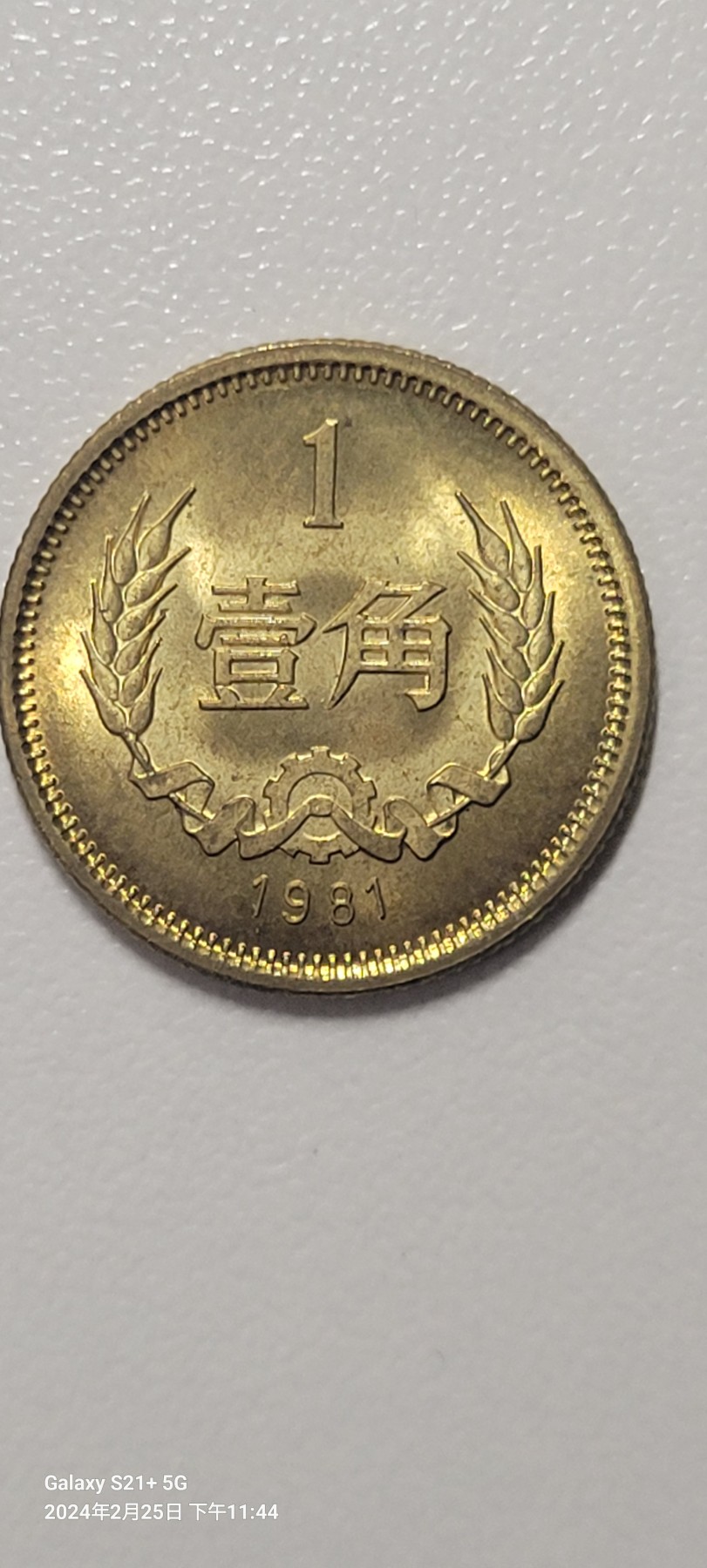 2024第三期 1981年一角麦穗硬币