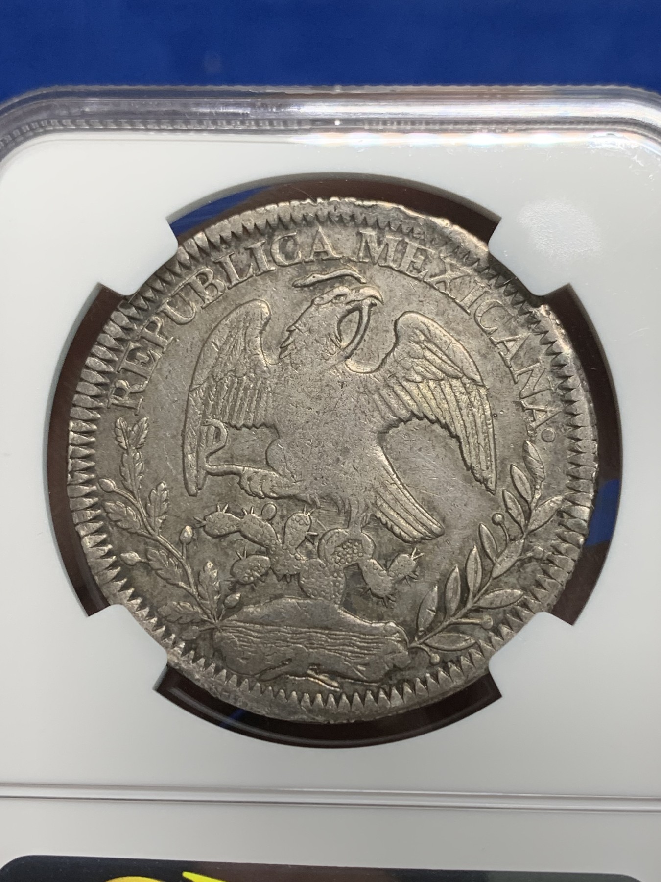 《竞宝斋》第242场-周日，周一 新年开场 (全场包邮) NGC-XFD 墨西哥早期鹰洋1843年 ZS OM 8R 40年代品相好的老鹰越来越少见 几乎没有清洗痕迹 再次送评出分的概率比较大