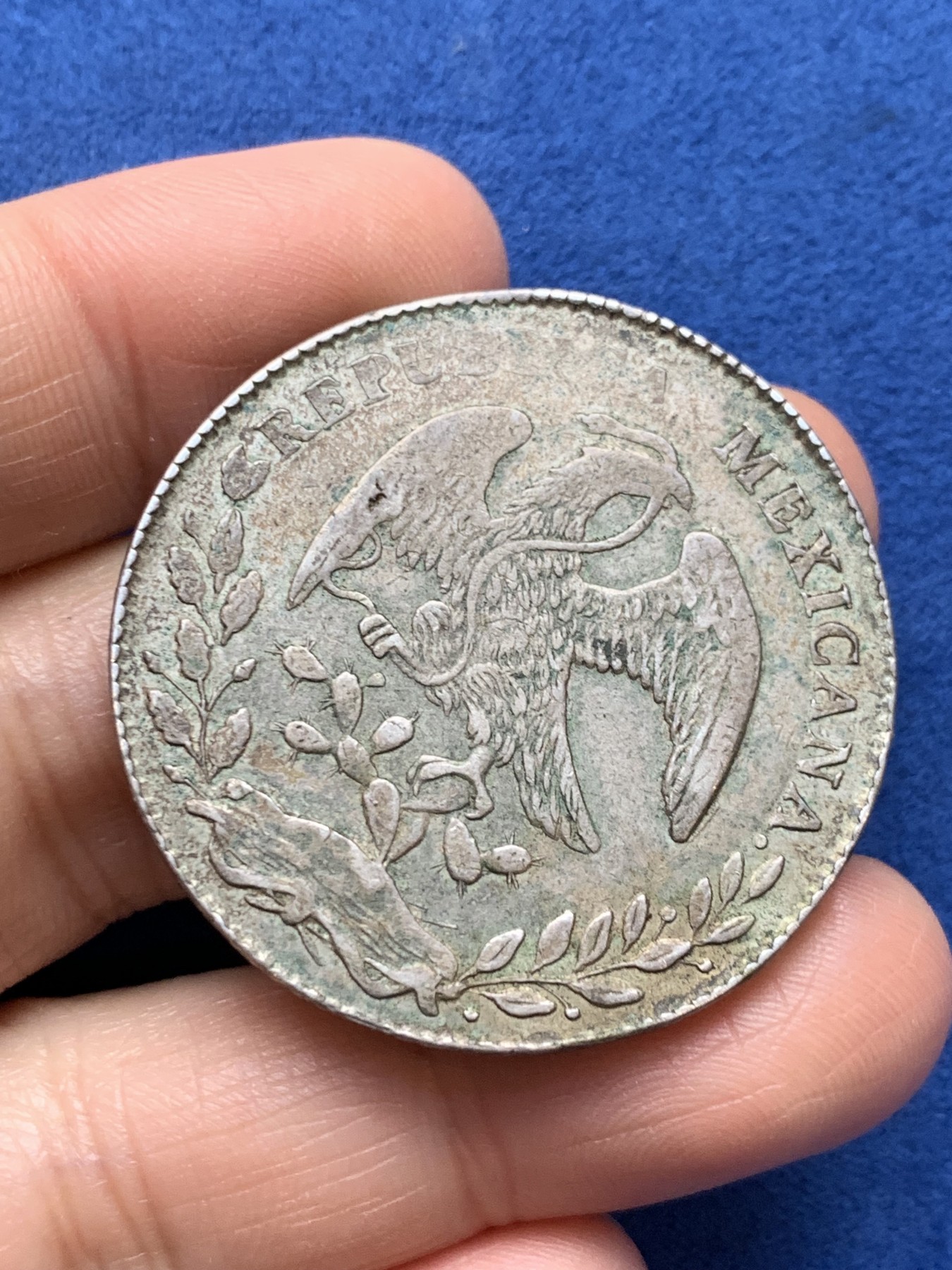 《竞宝斋》第242场-周日，周一 新年开场 (全场包邮) 墨西哥中早期8R鹰洋银币 年份弱打 包浆不错 细节见图