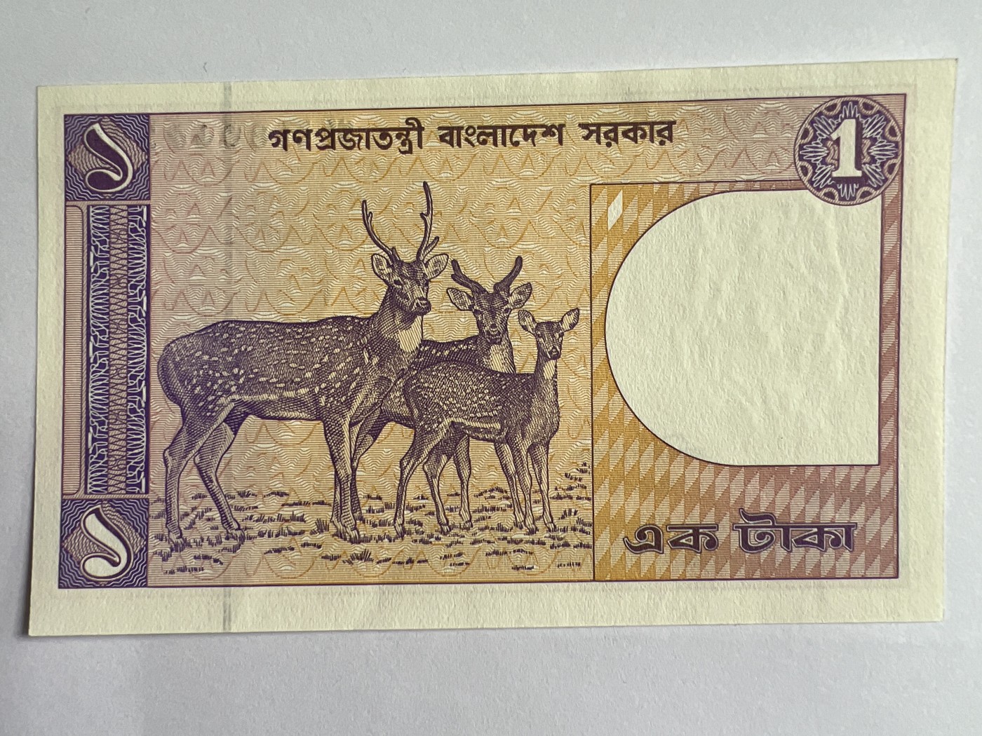 第535期  纸币专场 （无押金，捡漏，全场50包邮，偏远地区除外，接收代拍业务） 孟加拉1塔尔