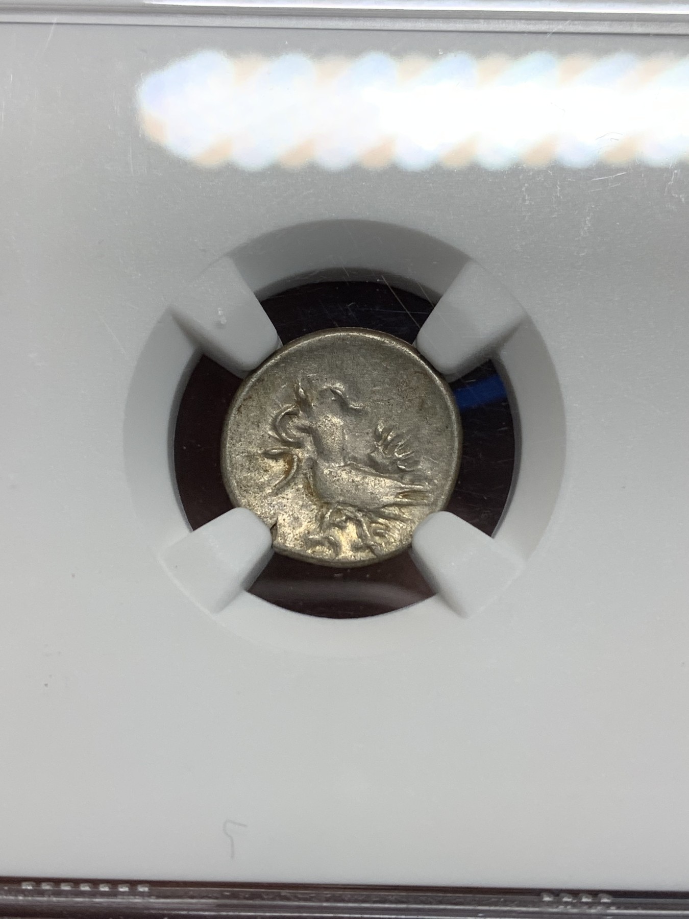 《竞宝斋》第242场-周日，周一 新年开场 (全场包邮) NGC AU53 柬埔寨金边王朝1847年2PE小鸟打制银币 出分不易