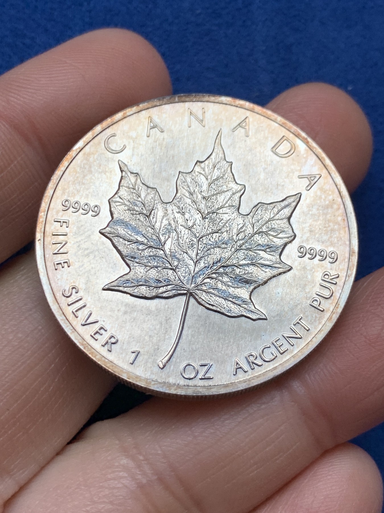 《竞宝斋》第242场-周日，周一 新年开场 (全场包邮) 加拿大1989年枫叶1盎司投资银币 9999银