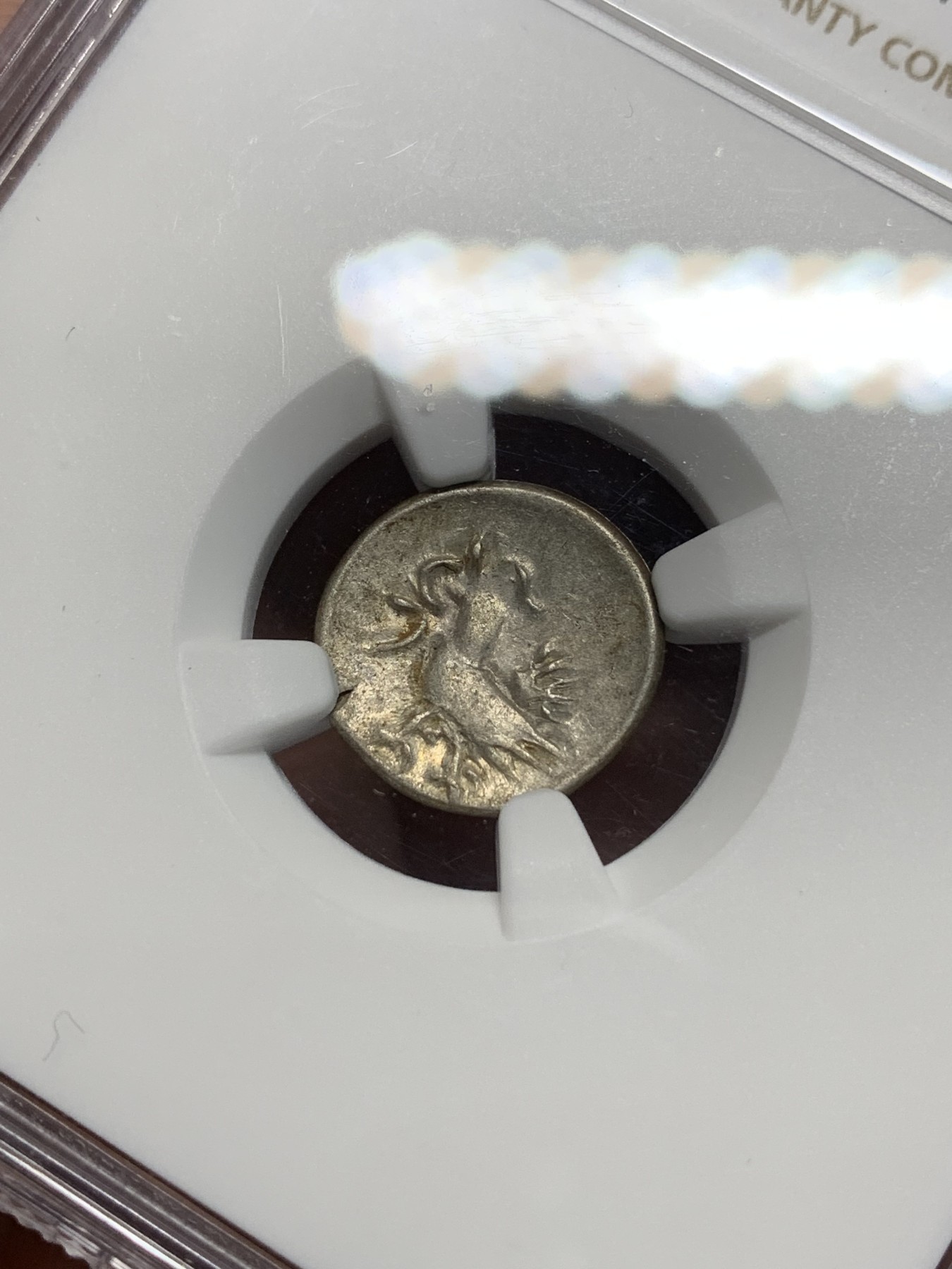 《竞宝斋》第242场-周日，周一 新年开场 (全场包邮) NGC AU53 柬埔寨金边王朝1847年2PE小鸟打制银币 出分不易