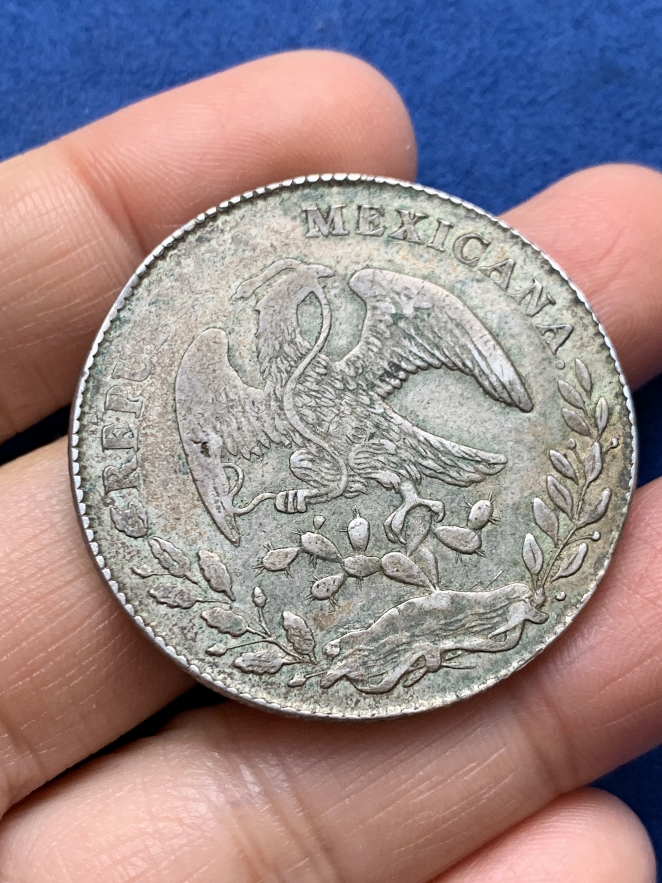 《竞宝斋》第242场-周日，周一 新年开场 (全场包邮) 墨西哥中早期8R鹰洋银币 年份弱打 包浆不错 细节见图