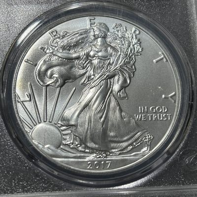 银币评级专场&全场保真包代 - 美国行走女神一美元银币，纯银一盎司一图一物、保真包代